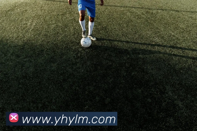 壹号娱乐APP 封面图